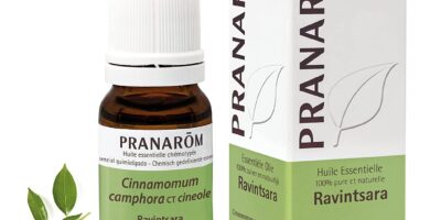 Aceite esencial de Cinnamomum camphoraa CT cineole Ravintsara Pranarom